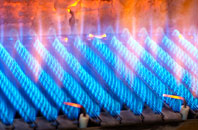 Corhampton gas fired boilers